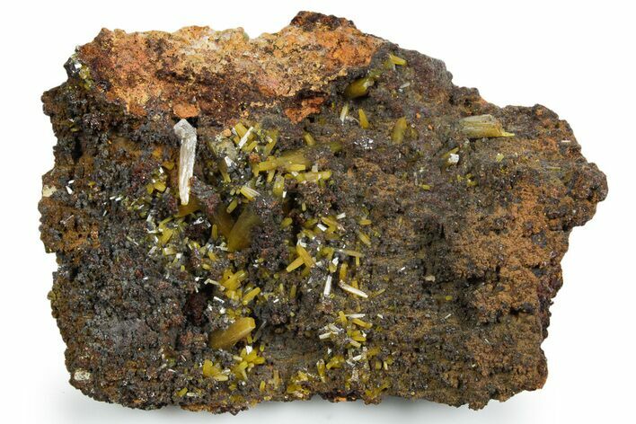 Pyramidal Wulfenite Crystals On Matrix - Ojuela Mine, Mexico #356692